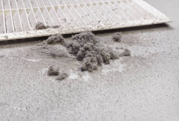 Best Air Vent Cleaning Services  in Guadalupe, AZ
