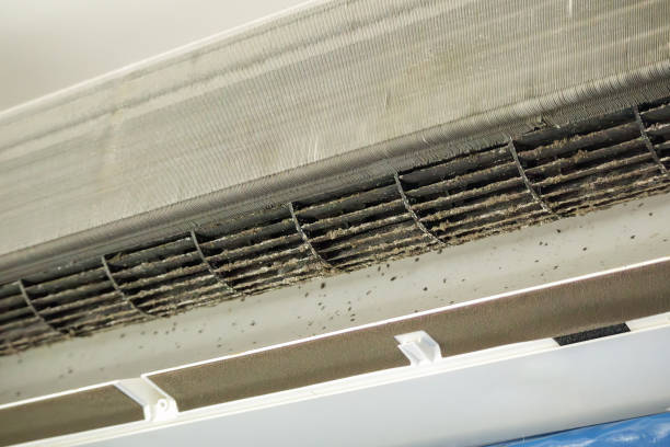 Best Commercial Air Duct Cleaning  in Guadalupe, AZ